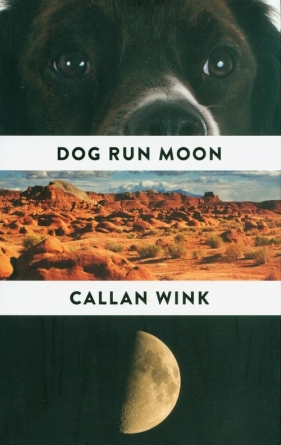 Dog Run Moon - Wink Callan