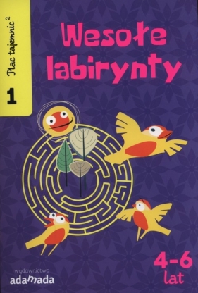Plac tajemnic 2 Wesołe labirynty 1 - Aleksandra Golecka-Mazur