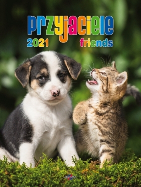 Kalendarz 2021 Przyjaciele