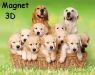 Magnes 3D Golden retriever