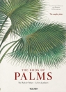 The Book of Palms Lack H. Walter