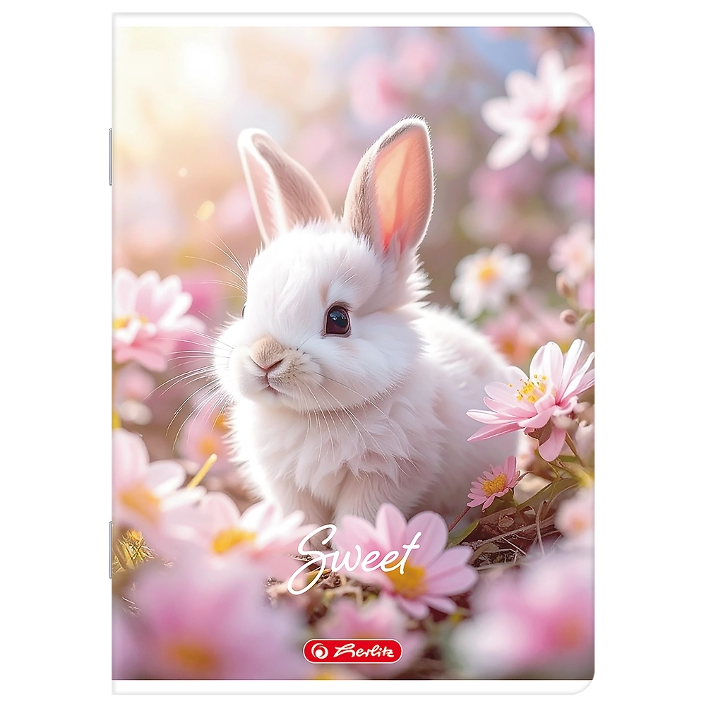 <img src='https://webimage.pl/pics/148/6/d5904017456148-7.png'>