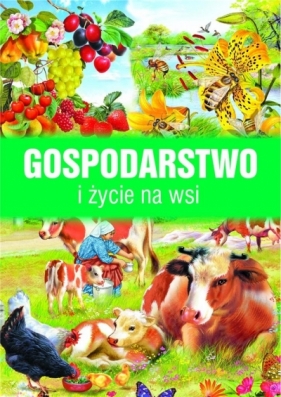 Gospodarstwo i życie na wsi - Francisco Arredondo