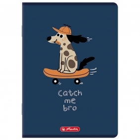 Zeszyt Herlitz A5/16k kratka, 1 szt