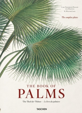 The Book of Palms - Hans Walter Lack