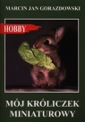 Mój króliczek miniaturowy Marcin Jan Gorazdowski