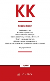 Kodeks karny oraz ustawy towarzyszące