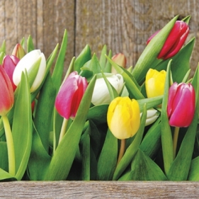 Serwetki SDL079100 Colorful Tulips - SDL077600