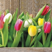 Serwetki SDL079100 Colorful Tulips - SDL077600