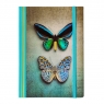 Notatnik Wings A5/80k linie - Para Motyli