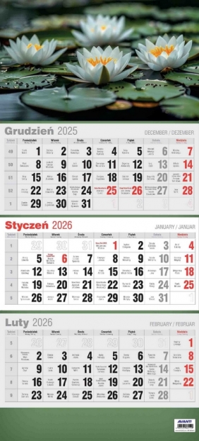 Kalendarz 2026 trójdzielny 3D, 1 szt