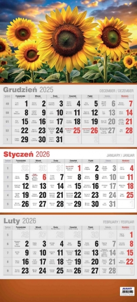 Kalendarz 2026 trójdzielny 3D, 1 szt