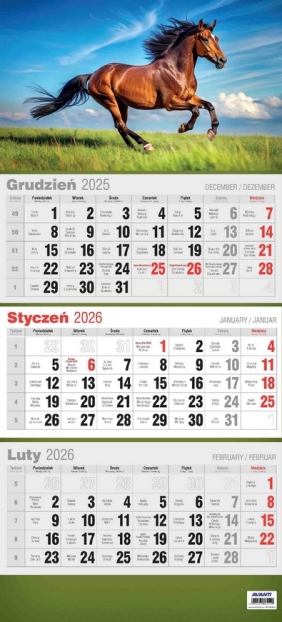 Kalendarz 2026 trójdzielny 3D, 1 szt