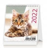 Kalendarz 2022 Biurkowy Mini. Kotki