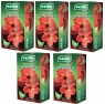 5x Herbatka owocowa z hibiskusem, 20x20g