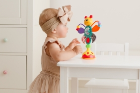 Tulifun, Motylek przyssawka