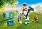 Playmobil Country: Kucyk Lewitzer (70515)