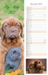 Kalendarz 2022 Ścienny paskowy Psy i koty RADWAN