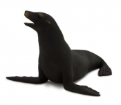 Uchatka kalifornijska ANIMAL PLANET (87115)