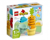 LEGO Duplo My First: Rosnąca marchewka (10981)