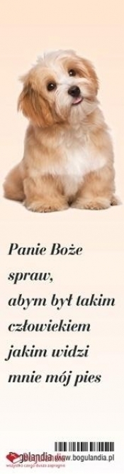 Zakładka do książki - Panie Boże spraw