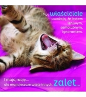 Magnes. Zalety kota