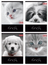 Zeszyty Dan-Mark CAT&DOG A5 krata 80 (5905184009151) DANMARK