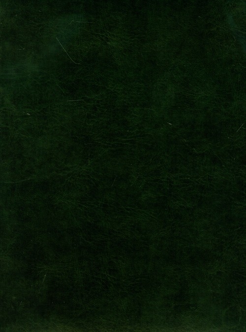 Kalendarz 2011 książkowy Seven Eurohide ciemna zieleń