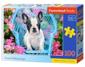 Puzzle 100: French Bulldog Pup