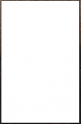 Kapibara Barbara i karnawał - Eliza Piotrowska