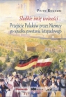 Słodkie imię wolności Przejście Polaków przez Niemcy po upadku powstania listopadowego