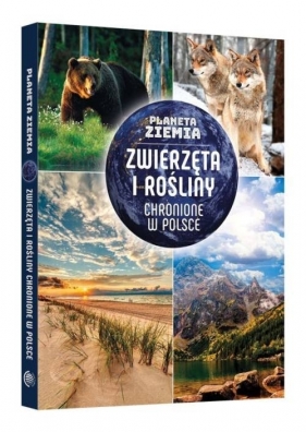 Planeta Ziemia Zwierzęta i rośliny chronione w Polsce - Matoga Karolina