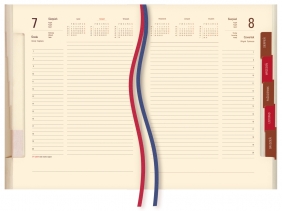 Terminarz dzienny 2025 B5 Konsul (T-243N-59)