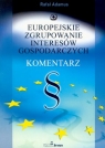 Europejskie zgrupowanie interesów gospodarczych. Komentarz Adamus Rafał
