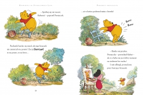 Opowieści ze Stumilowego Lasu. Disney. Kubuś i Przyjaciele - Thea Feldman, Catherine Hapka