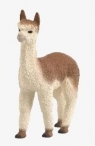 Alpaka