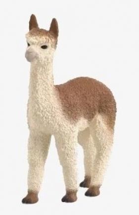 Alpaka
