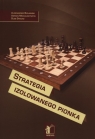 Strategia izolowanego pionka  Bielawski Aleksander, Michalczyszyn Adrian, Stecko Oleg