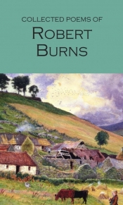The Collected Poems of Robert Burns - Burns Robert