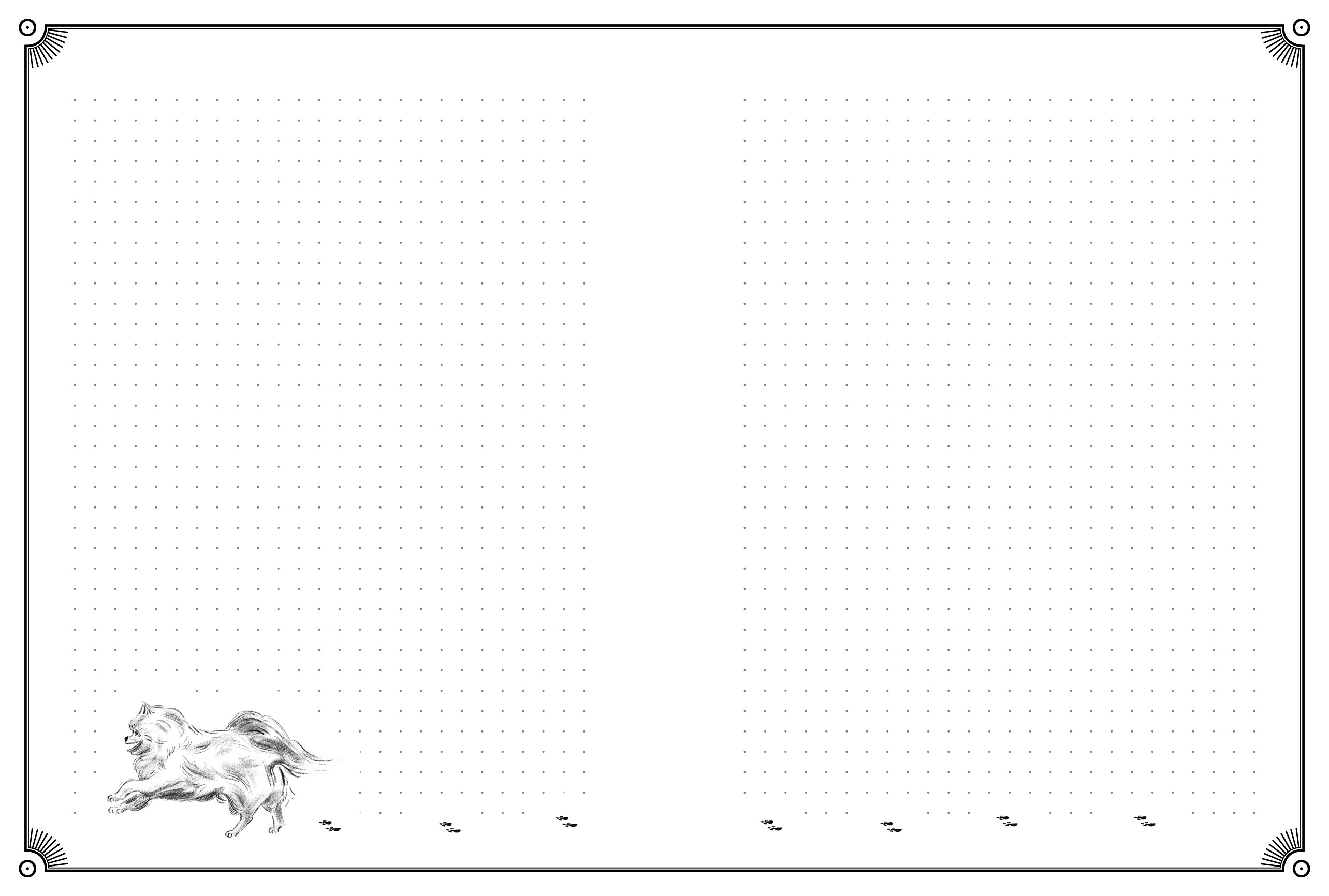 <img src='https://webimage.pl/pics/153/5/dStefcia5.jpg'>