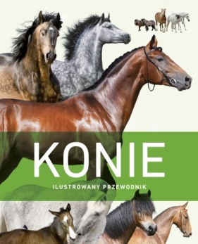 Konie. Ilustrowany przewodnik - Opracowanie zbiorowe