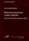 Modelowanie poziomu płac w mikro i makroskali Teoria i rzeczywistość Ossowski Jerzy Czesław
