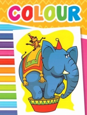 Colour Obrazki zoo - Praca zbiorowa