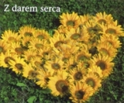 Z darem serca. Perełka 144