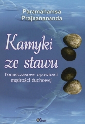 Kamyki ze stawu