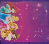 Piórnik szkolny Disney Princess z wyposażeniem - <br />