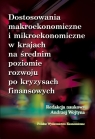 Dostosowania makroekonomiczne i mikroekonomiczne w krajach na średnim poziomie Wojtyna Andrzej