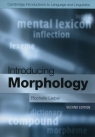 Introducing Morphology