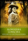 Słowiańska gorączka. Moda, mistyka i mistyfikacje XIX wieku Aleksandra Seliga