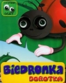 Biedronka Dorotka